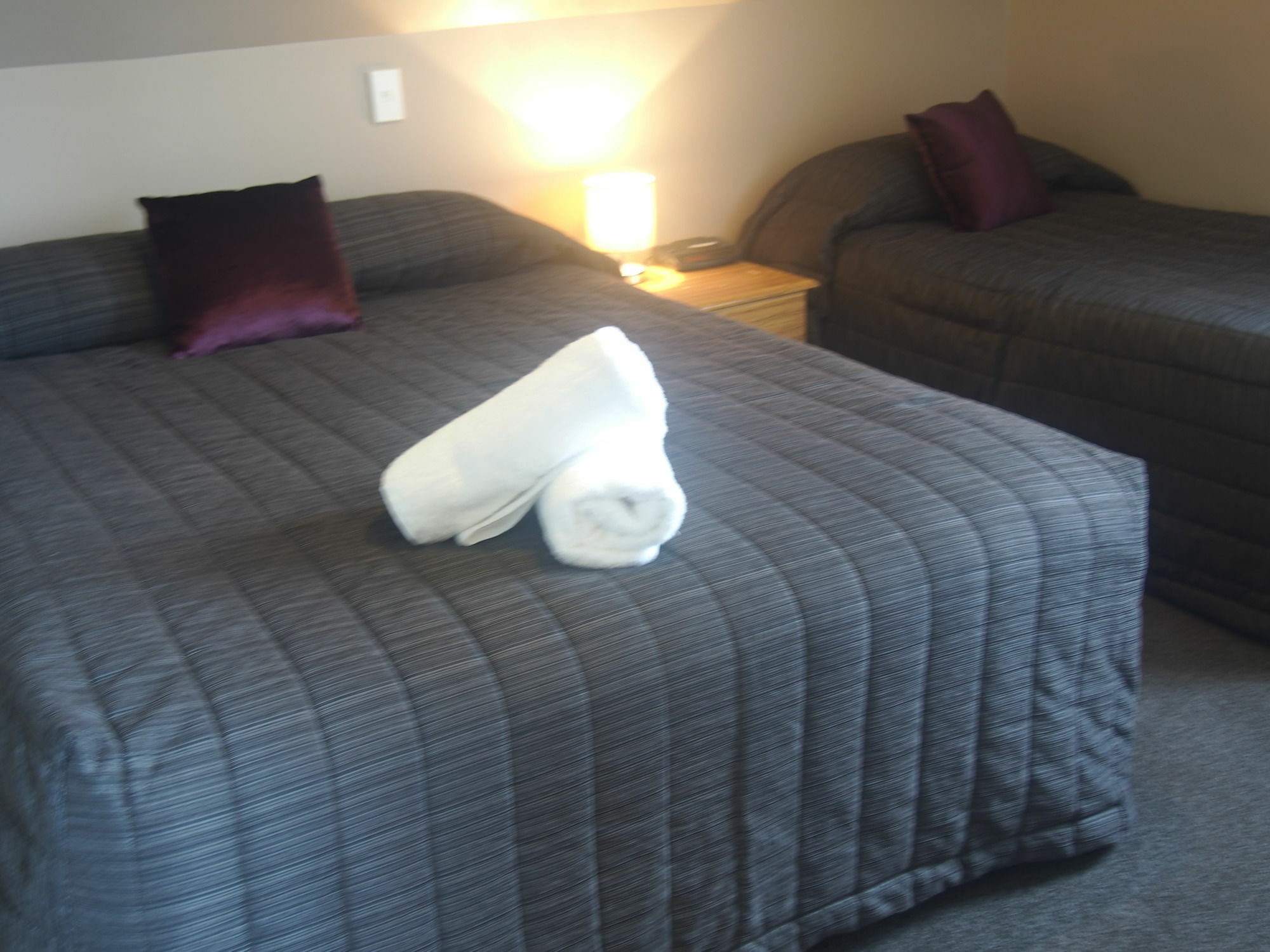 כרייסטצ'רץ' Northwood Motor Lodge מראה חיצוני תמונה